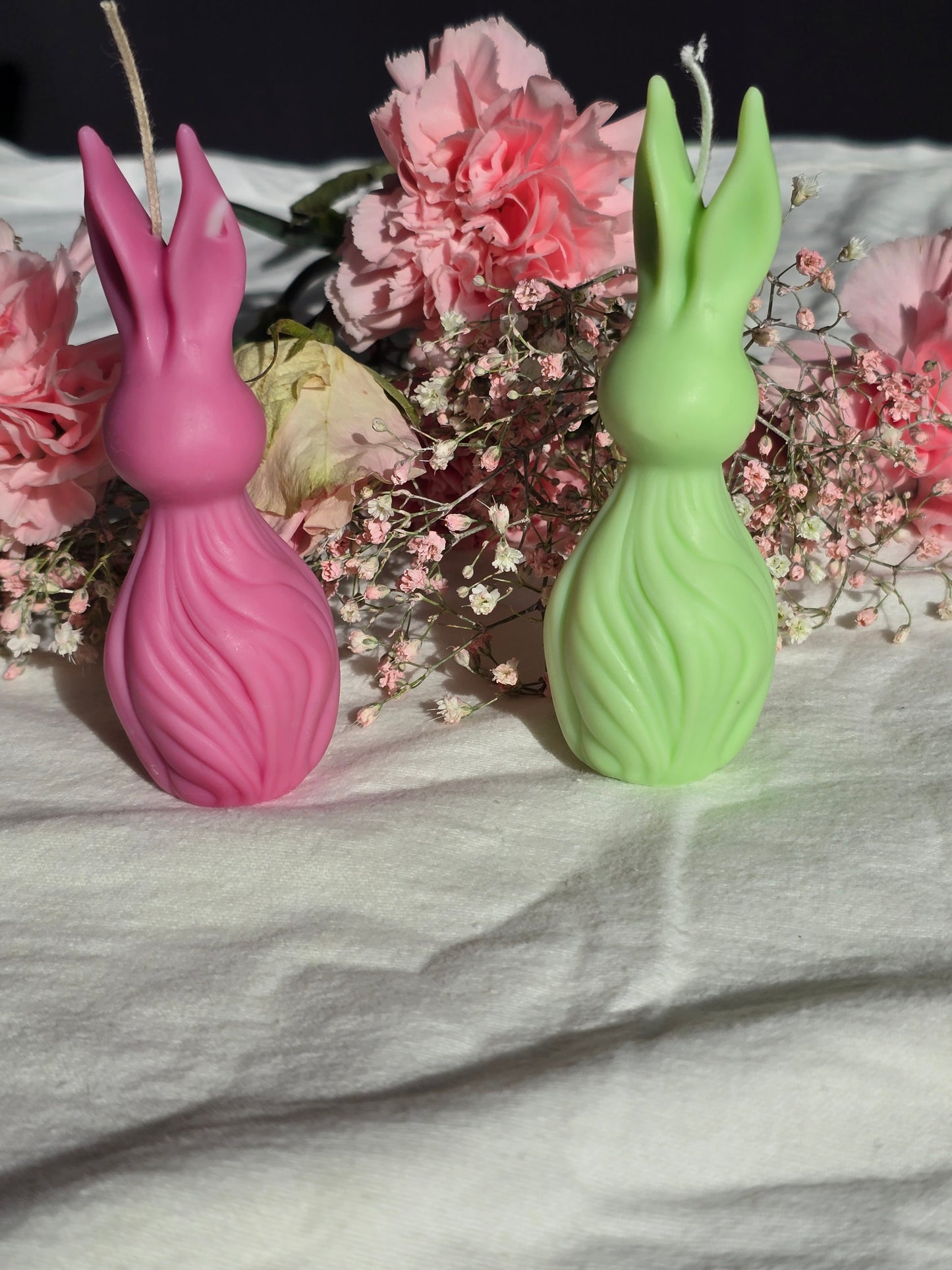 Waved Rabbit