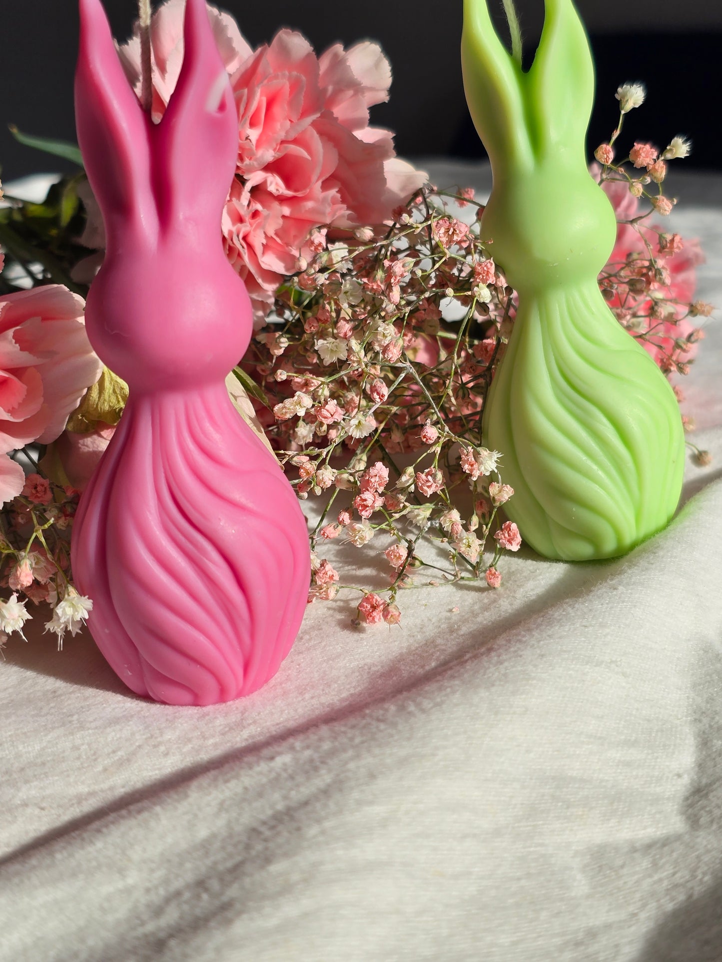 Waved Rabbit