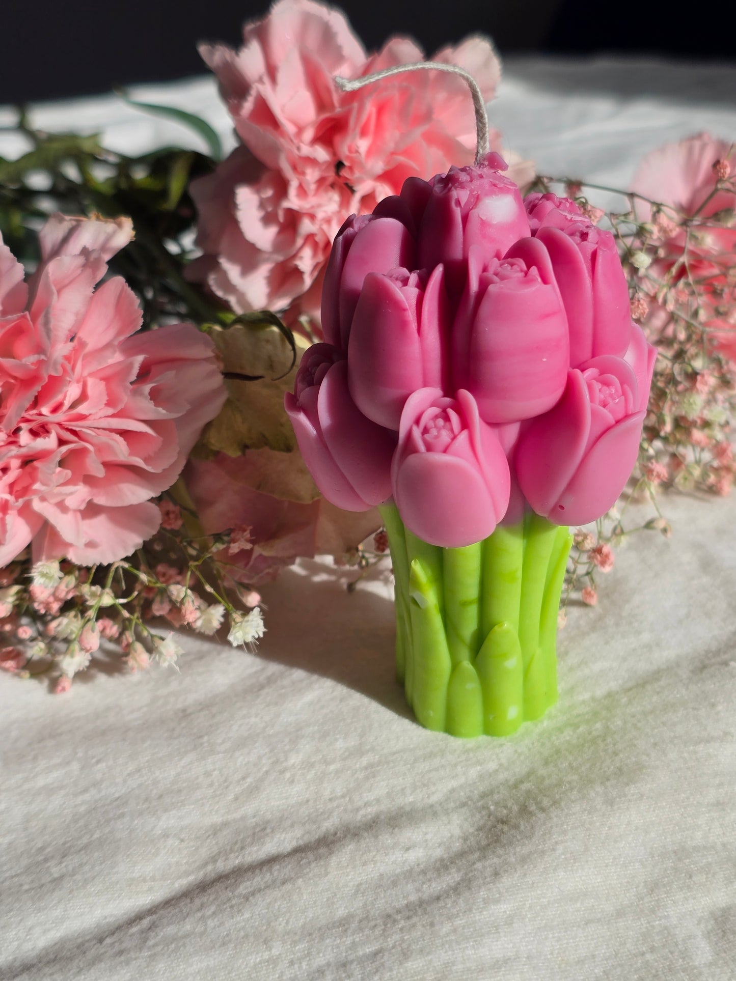 Spring Tulip