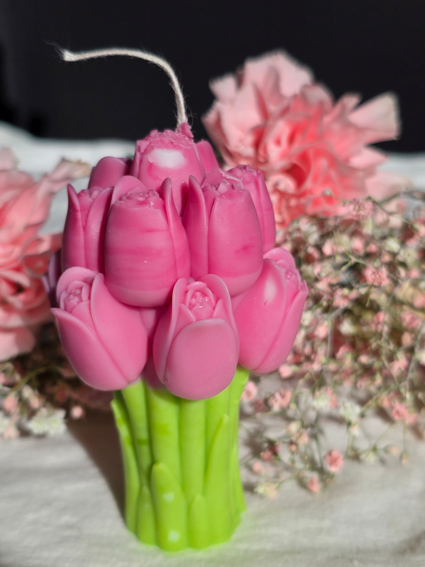 Spring Tulip
