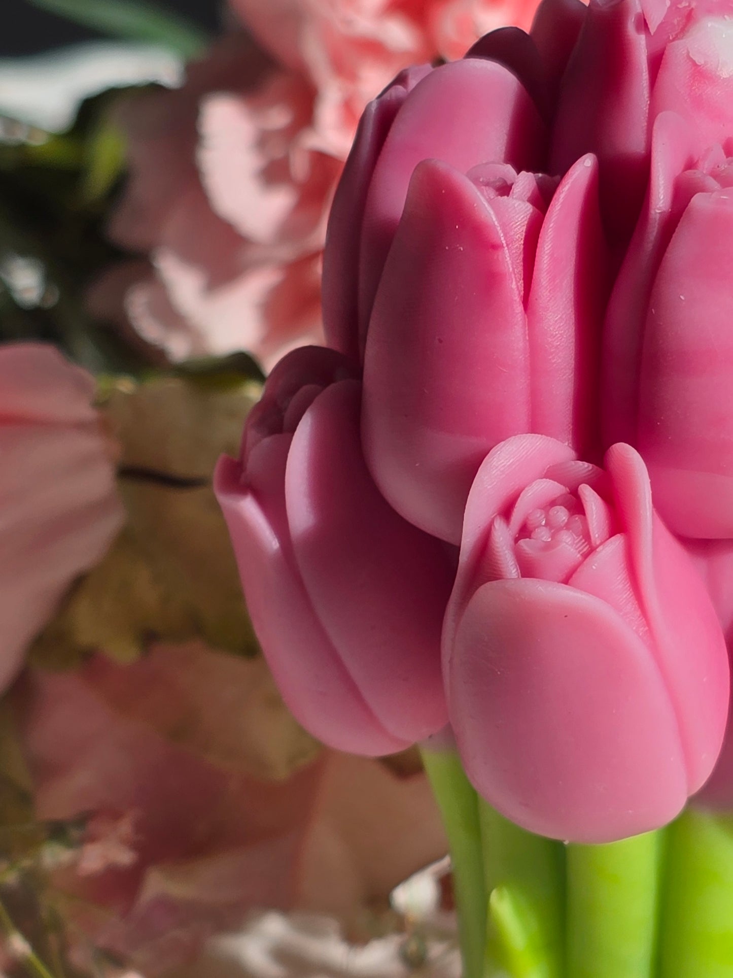 Spring Tulip