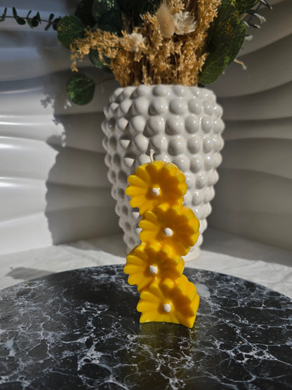 Sun Cascade