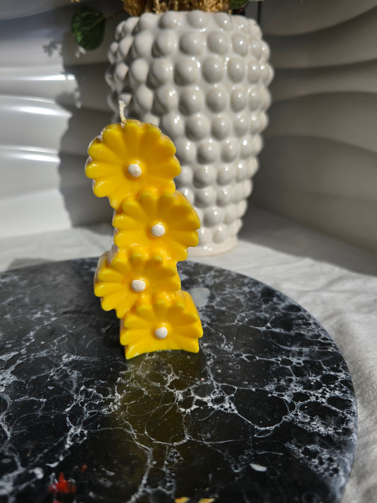 Sun Cascade